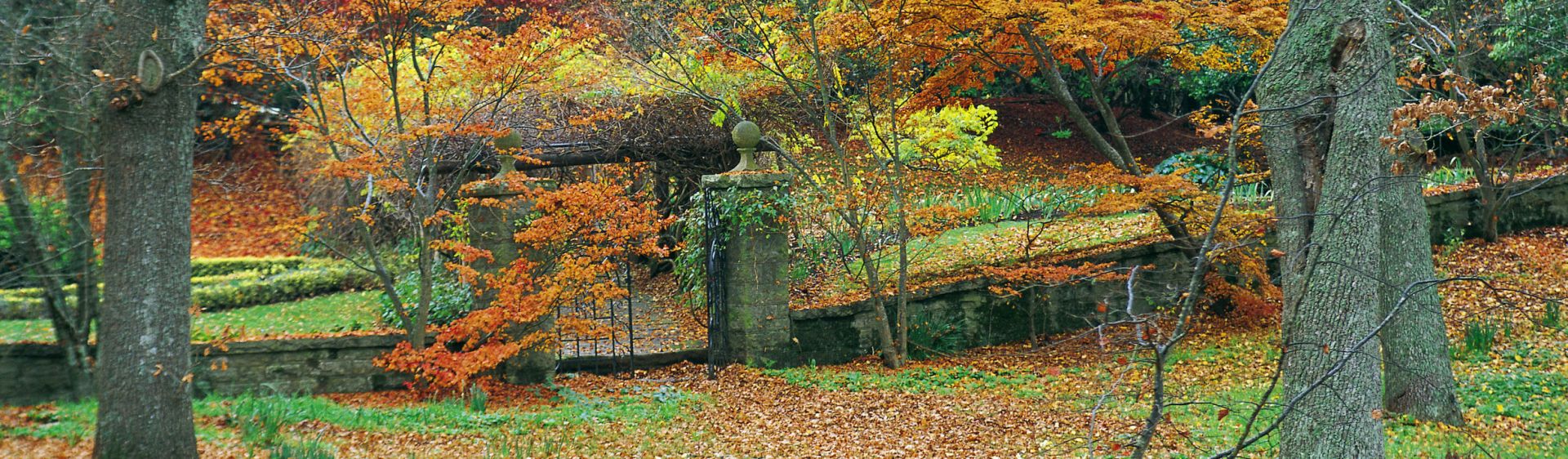 Moss Vale NSW Plan a Holiday Attractions & Shopping